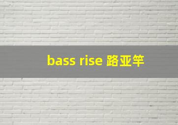 bass rise 路亚竿